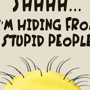 Meet your Posher, Shelly