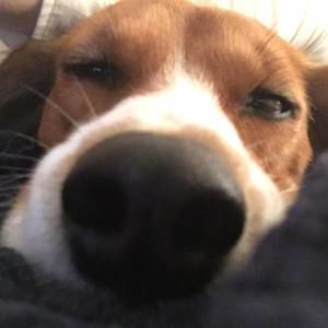 Meet your Posher, Kelsey