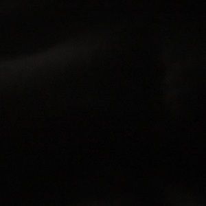 Meet your Posher, Shay