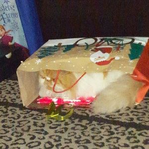 Meet your Posher, Alejandra