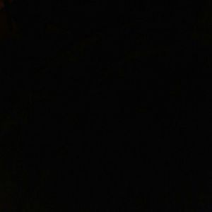 Meet your Posher, Damian