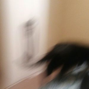 Meet your Posher, Joe