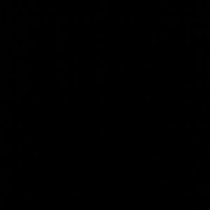 Meet your Posher, Adolfo