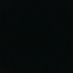 Meet your Posher, Tanner