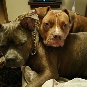 Meet your Posher, Tarah