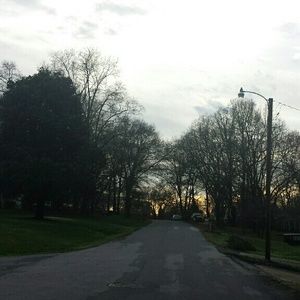 Meet your Posher, Maddison