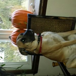 Meet your Posher, Amy