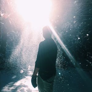 Meet your Posher, Allister