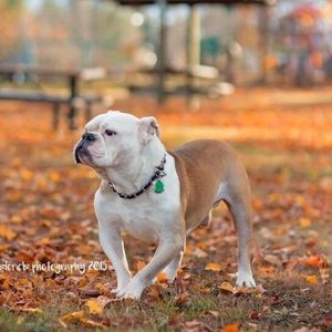 Meet your Posher, Tim