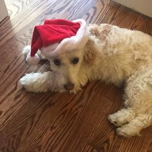 Meet your Posher, Lynette