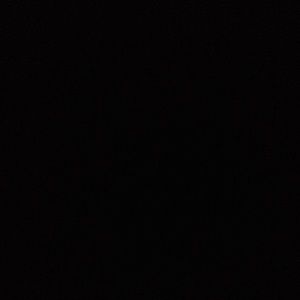 Meet your Posher, Lucy