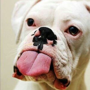 Meet your Posher, Lindsay