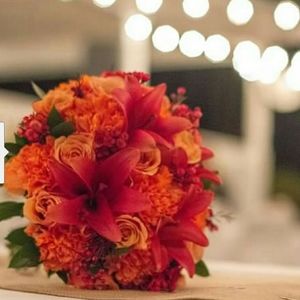 Meet your Posher, Charlene