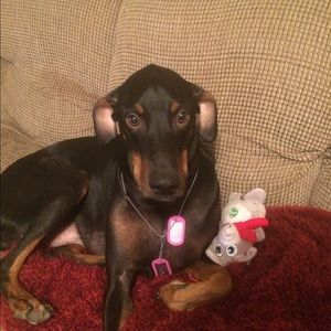 Meet your Posher, Bridget