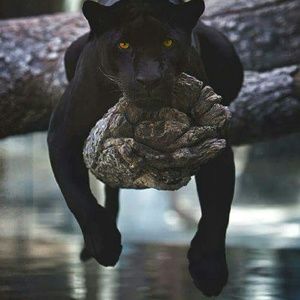 Meet your Posher, Michele