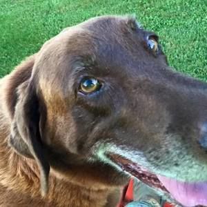 Meet your Posher, Janet