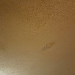 Meet your Posher, Juliana