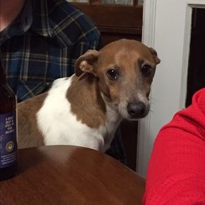 Meet your Posher, Cassie