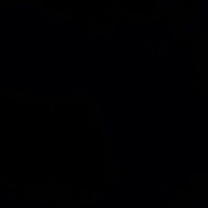 Meet your Posher, Sandy