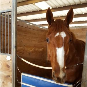 Meet your Posher, Melissa