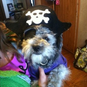 Meet your Posher, Robin