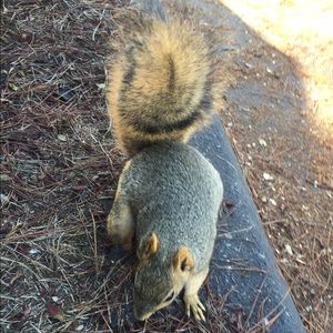 Meet your Posher, Braulio