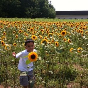 Meet your Posher, Louise