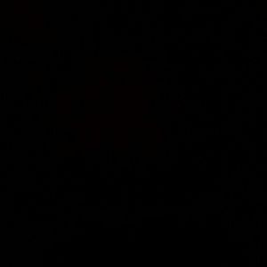 Meet your Posher, Lorin