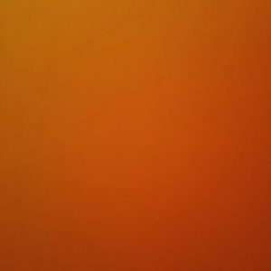 Meet your Posher, Deidre