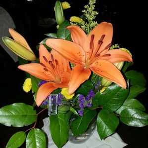 Meet your Posher, Jo jo