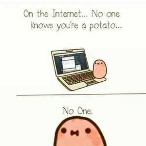 Meet your Posher, Cami