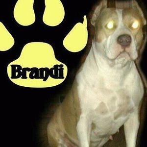 Meet your Posher, Guy