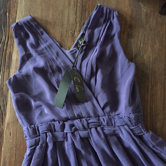 • Modcloth • "Rushes and Flags" Dress - Picture 4 of 4