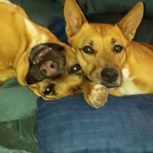 Meet your Posher, Beth