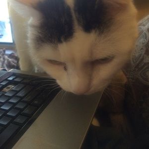 Meet your Posher, Nikki