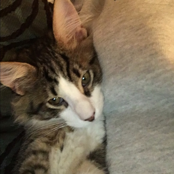 Meet your Posher, Tammy