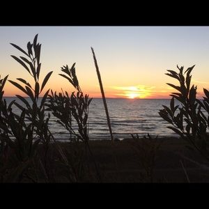 Meet your Posher, Carol