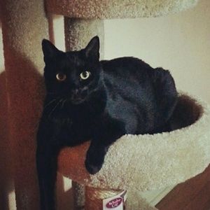 Meet your Posher, Tonya