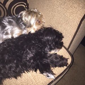 Meet your Posher, Jaquetta