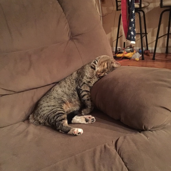 Meet your Posher, Patti