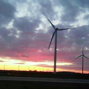 Meet your Posher, Kylie