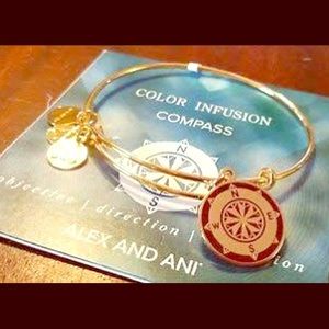 Compass Alex and Ani