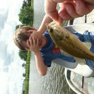 Meet your Posher, Patrick