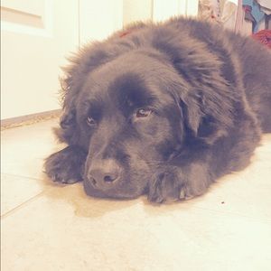 Meet your Posher, Lexi