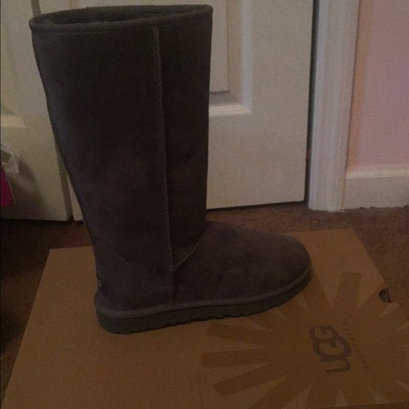 new uggs size 8 new uggs size 8