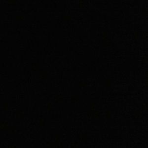 Meet your Posher, Delaney