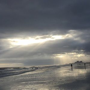 Meet your Posher, Elise