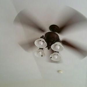 Meet your Posher, Shelia