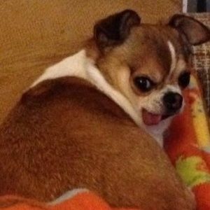 Meet your Posher, Ella