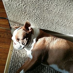 Meet your Posher, Cheryl